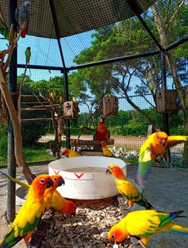 Taman Rusa Sekupang dan Jogging Track Sekupang